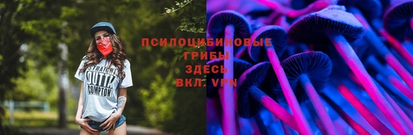 мдпв Нефтекумск