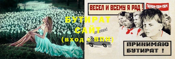 мдпв Вяземский