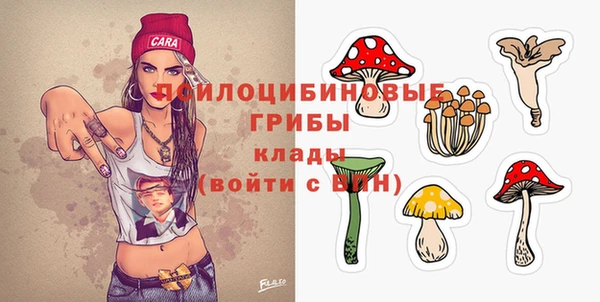 первитин Нея