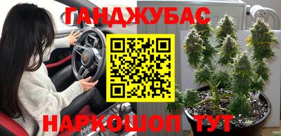 Альфа ПВП Гагарин