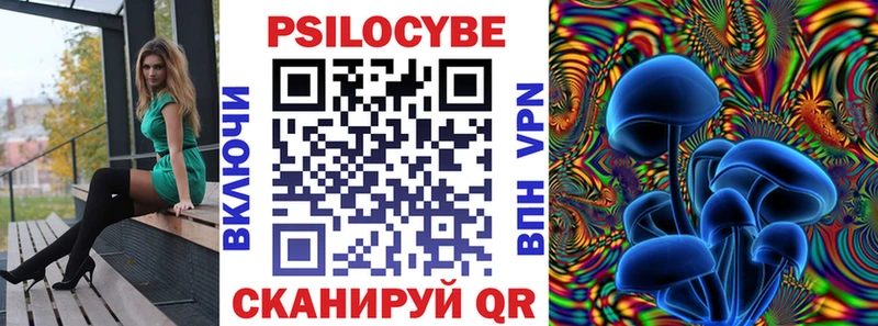 где продают Кимовск Галлюциногенные грибы MAGIC MUSHROOMS